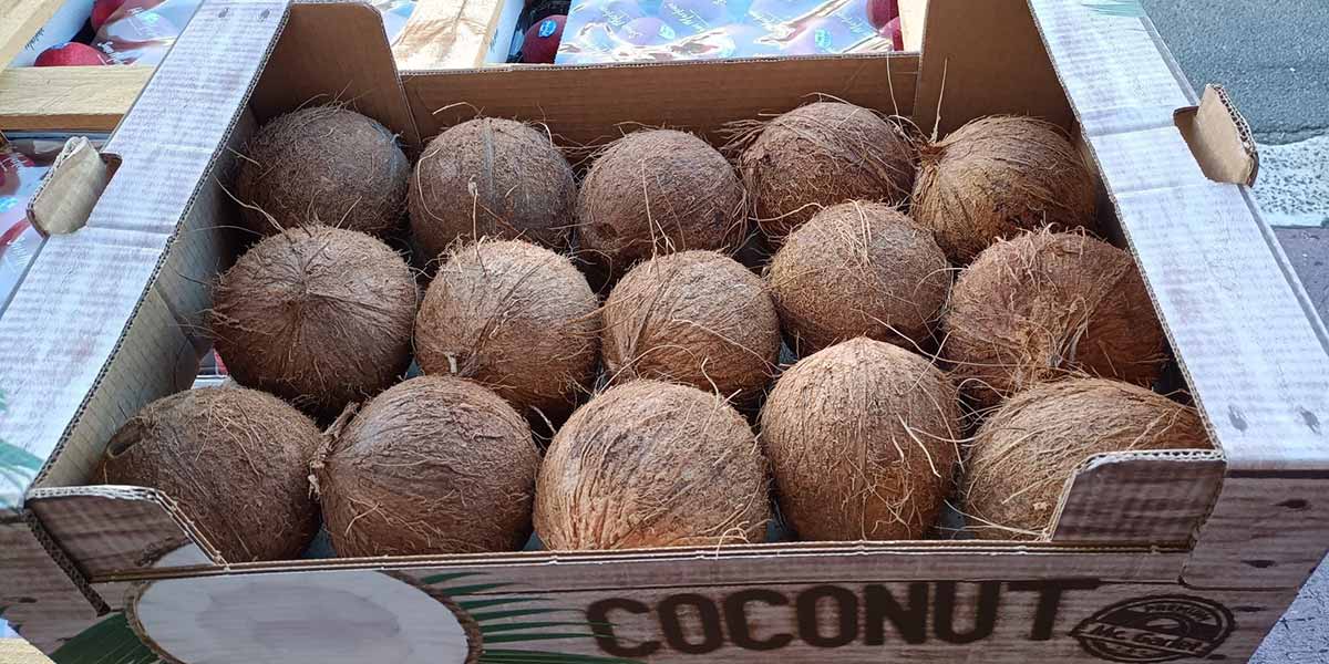 Cocco, vendite costanti al mercato di Bari